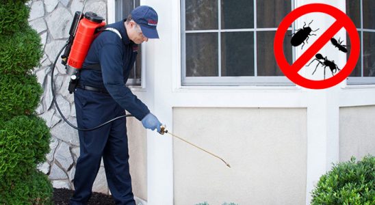 Beyşehir Kene İlaçlama böcek ilaçlama ve haşere kontrolü — ilaclama-tr.com